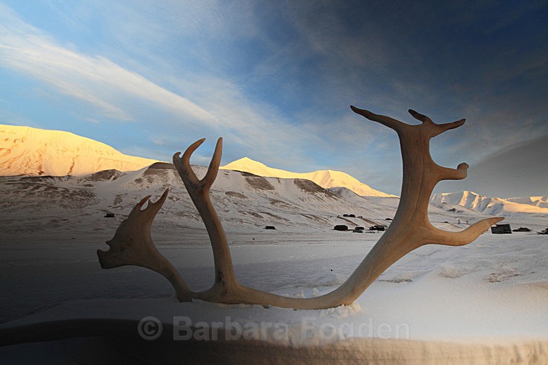 Winter 33 - Latest Photos