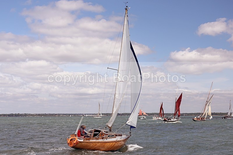 170603 - TAPESTRY - OLD GAFFERS 1Y3A2859 - YARMOUTH OLD GAFFERS RACE 3rd JUNE 2017