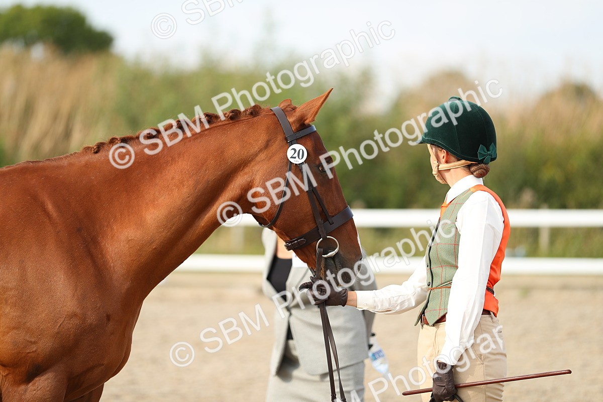 SBM_08614 - Class 28 - IH Veteran Horse