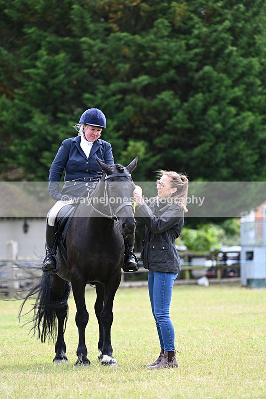 WJ7_8828 - Class 7  Riding Club Show Horse