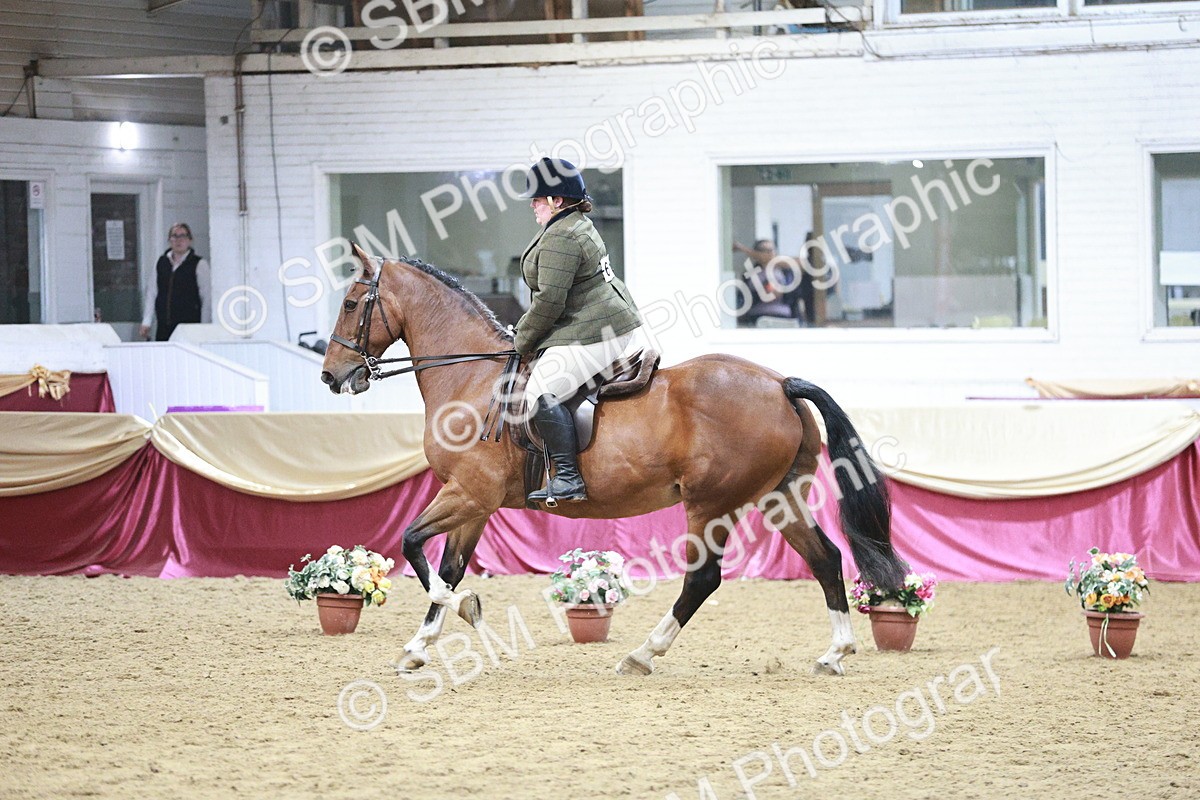 SBM_08216 - Class 11R - Regional Ridden Veteran