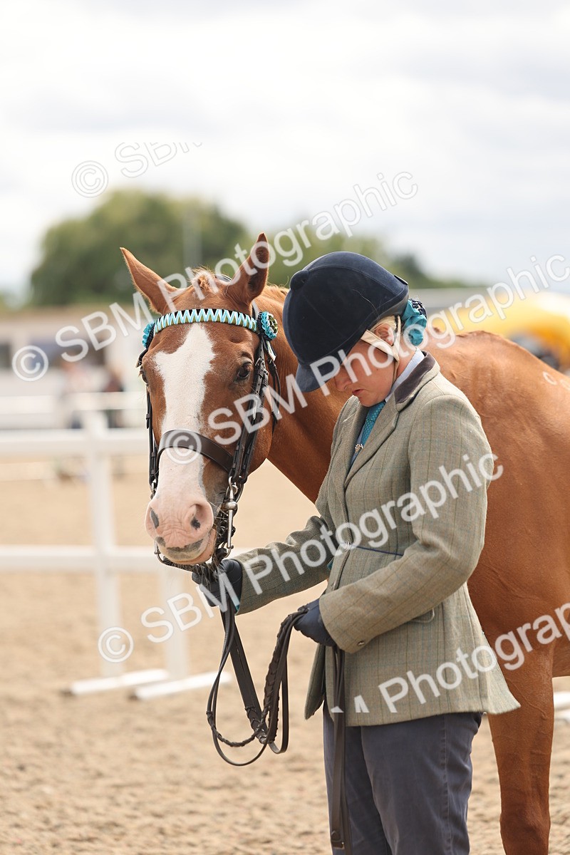SBM_17000 - Class 312 - IH Competition Horse-Pony