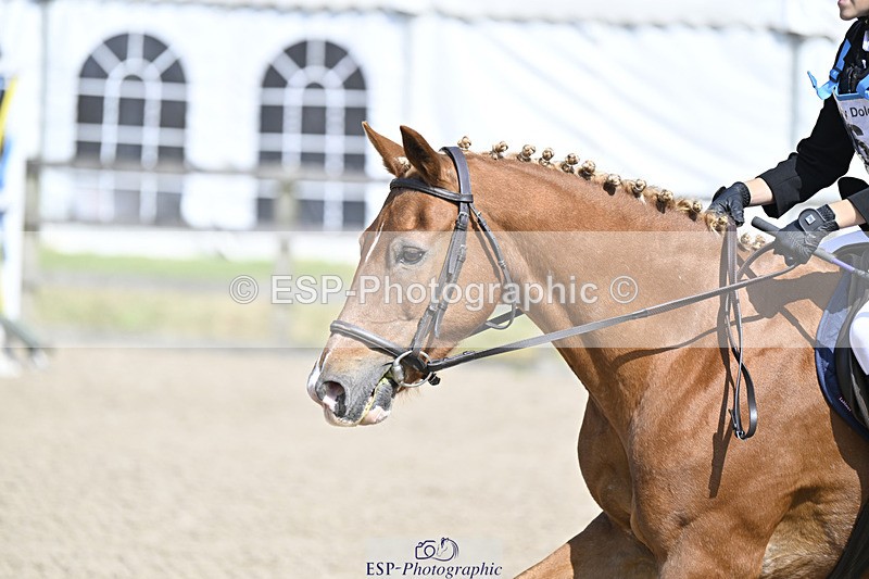 240823X-113259-16117 - 60cm R2 11.00 to 12.30