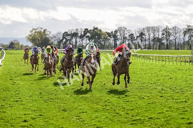  - Race 8