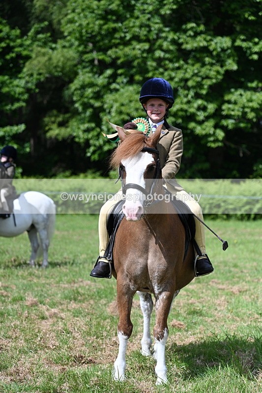 WJ7_0861 - Class 8 First Rally Pony