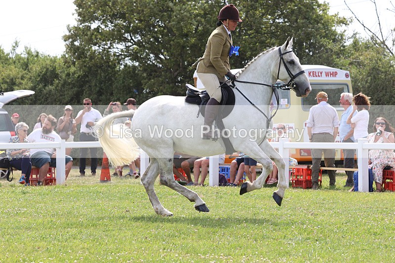 JPP_3978 - Class 23: Working Hunter 80cm
