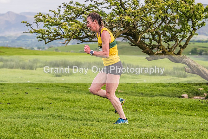 Hay-O-79 - Hay O Trail Race Tuesday 23rd May 2023