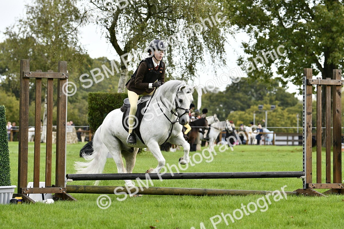 SBM_35426 - S30 - Nursery Stakes Working Hunter Pony