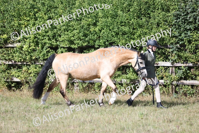 20250831-1523 - Class 21 - Inhand Open