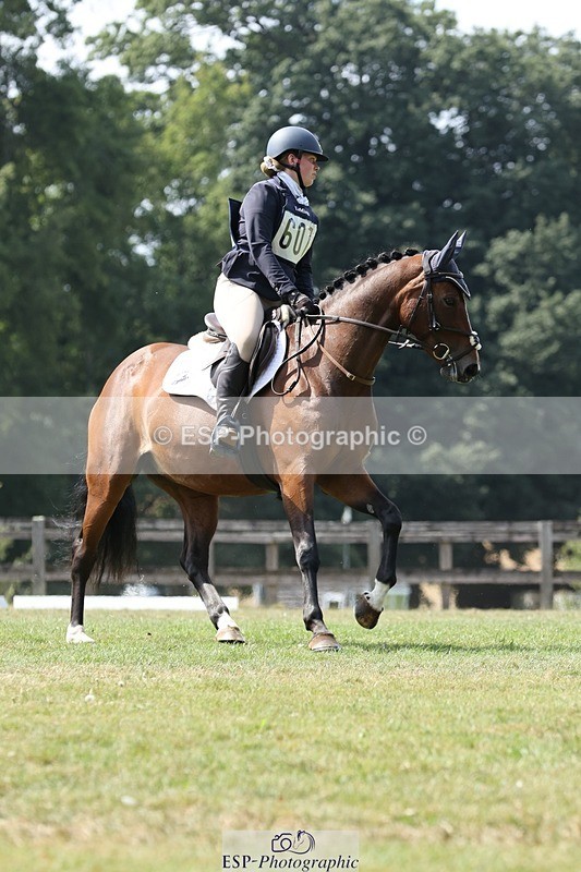 250823A-140319-31445 - Arena D