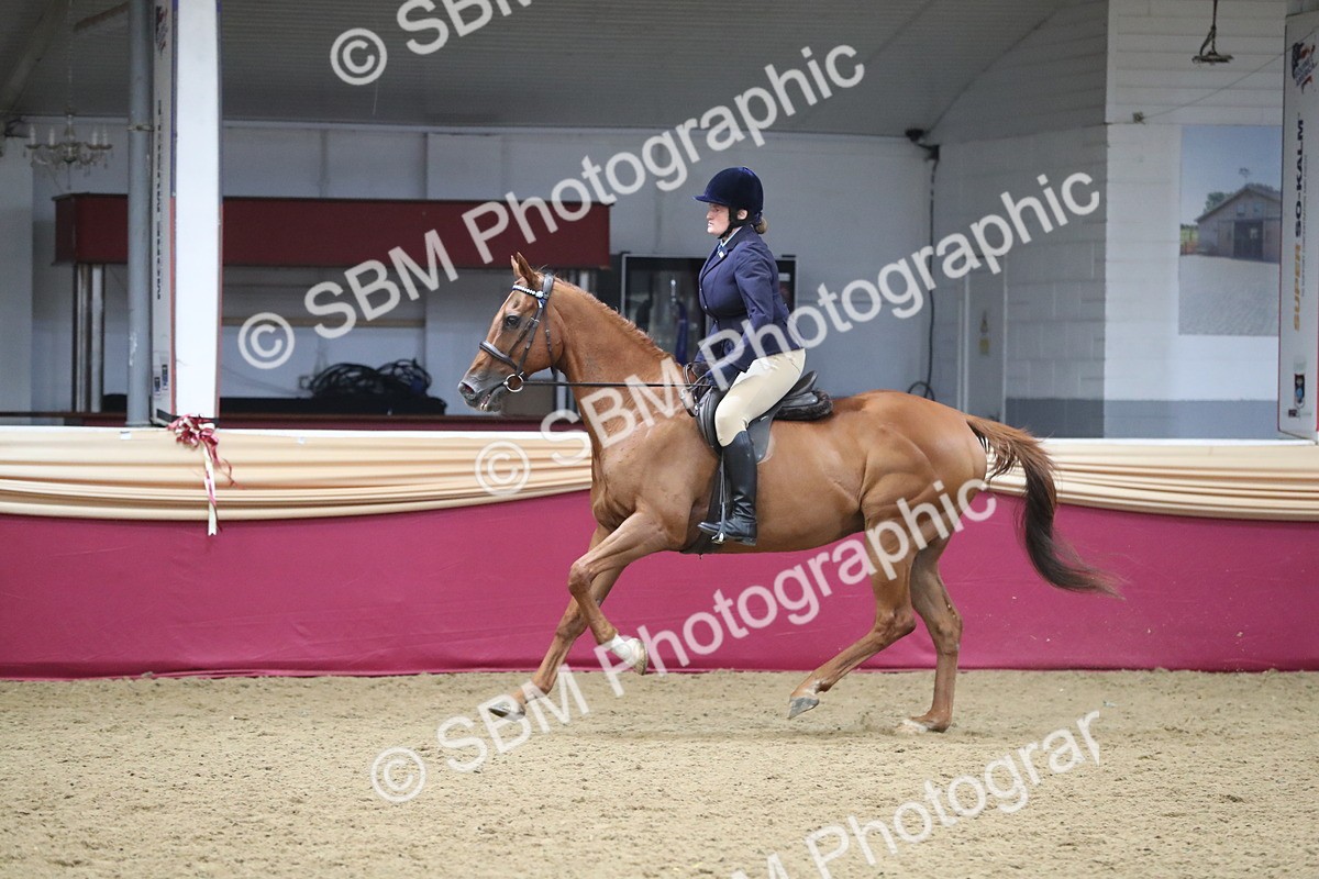 SBM_12361 - Class 108 Ridden Retired Racehorse- Pre Judging