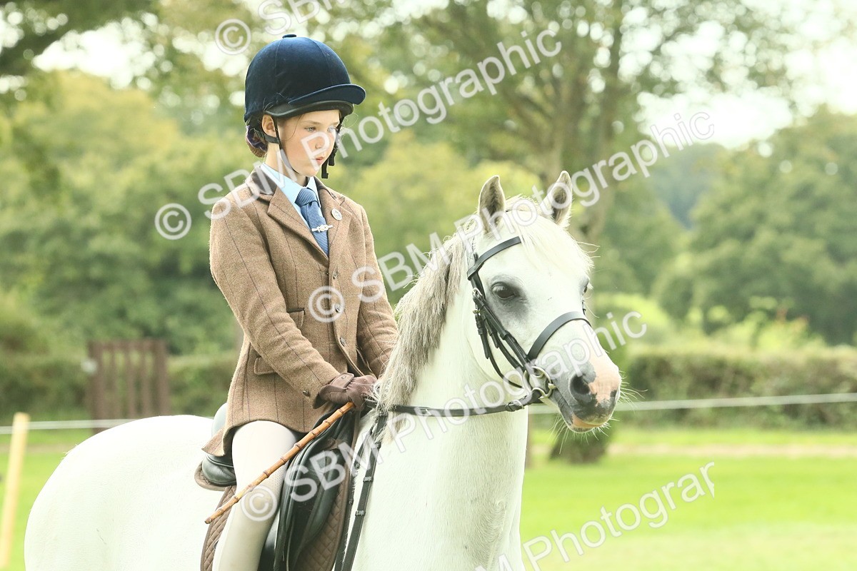 SBM_69911 - S59 - Mountain & Moorland Ridden Small Breeds