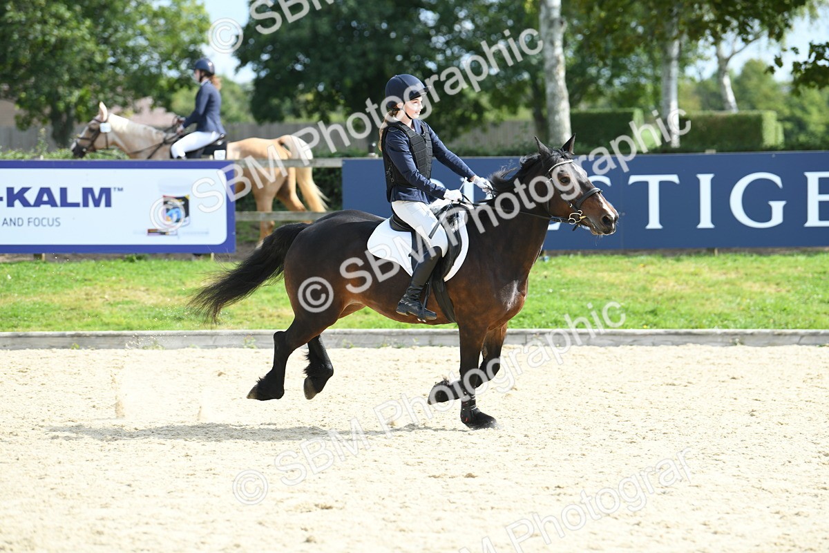 SBM_64665 - J48 - Pairs Jumping Open 70cm & 85cm