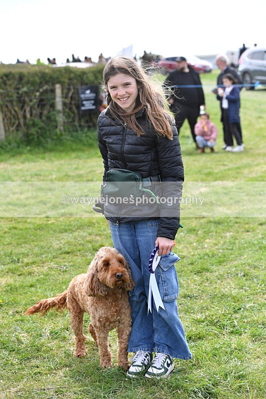 WJ5_0228 - Class 5 Best Veteran / 7 years & over