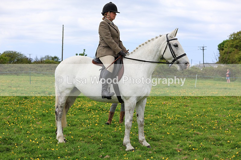 3E7A1238 - Class 7: Ridden Hunter Type