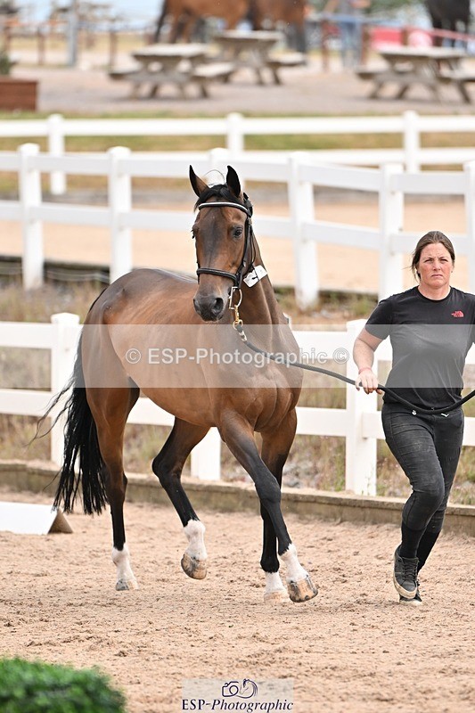 250716-151015-01710 - Trot Up 2.30 to 3.30