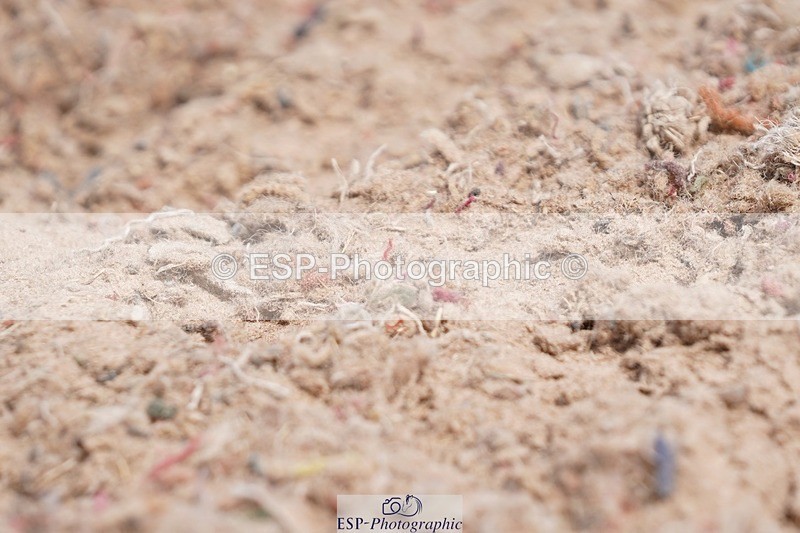 250622-103936-13372 - Cls 52 FreeStyle Elementary Inc Presentations