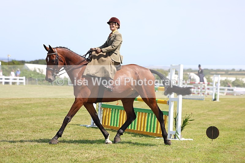 3E7A9637 - Class 13: Side Saddle