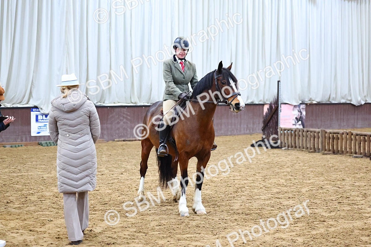 SBM_003033 - Class 35 - 60cm Training Stakes