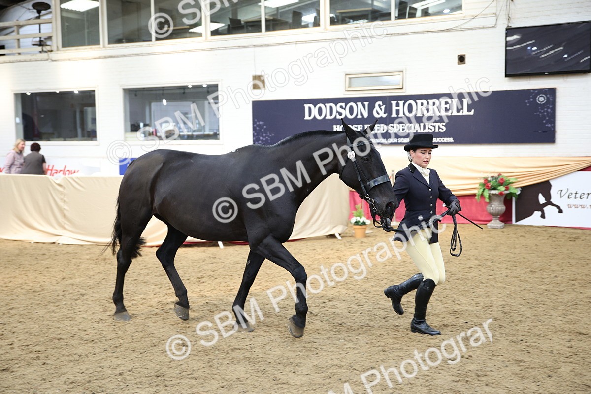 SBM_24248 - Class 905 - Supreme Final - Ridden Veteran