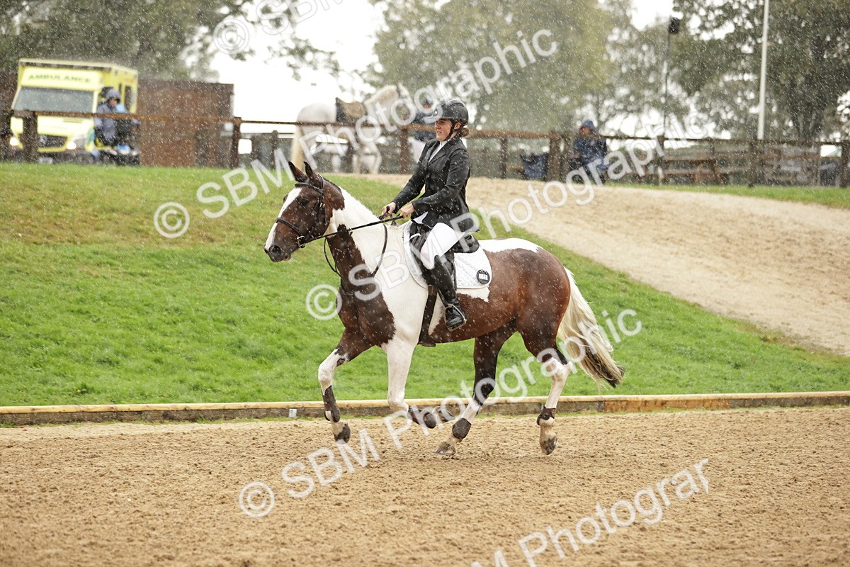 SBM_33105 - J38 - Senior Horse & Pony 80cm Championship