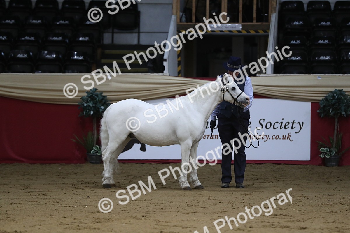 SBM_04943 - Class 8R- Regional -IH Veteran