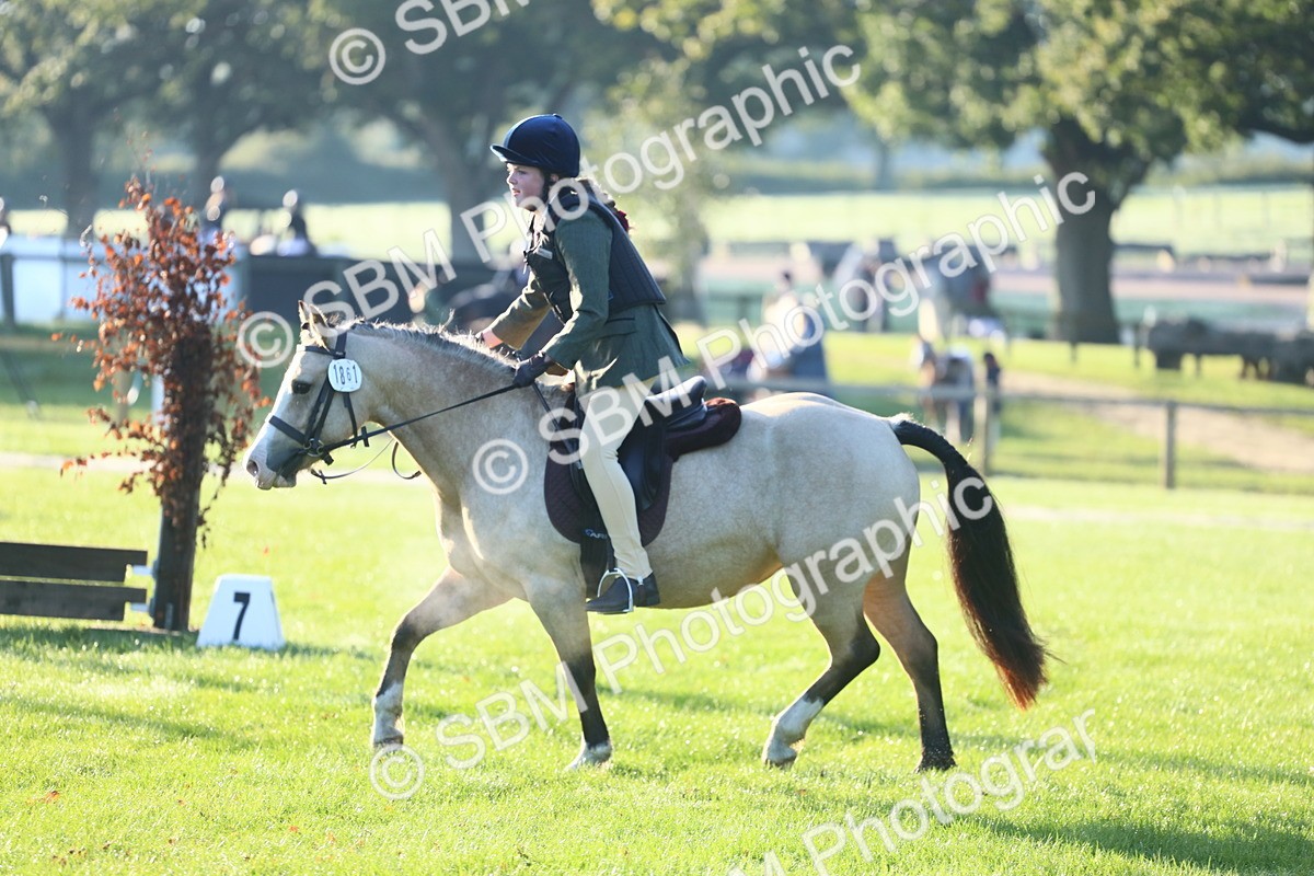 SBM_37265 - S29 - Novice & Newcomers Working Hunter Pony