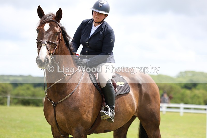 3E7A7161 - Class 12: Senior Foxhunter/1.20 open