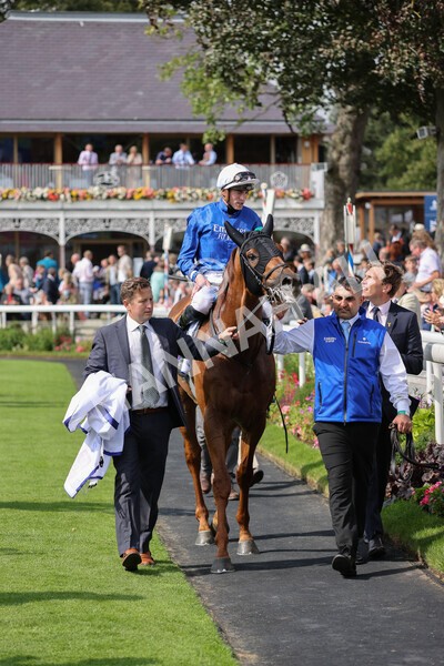 yr18082021r3-91 - Race 3 3.00pm Sky Bet Great Voltigeur Stakes