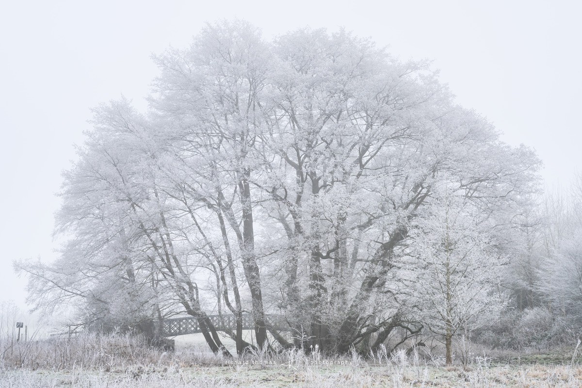 White Bridge - WINTER