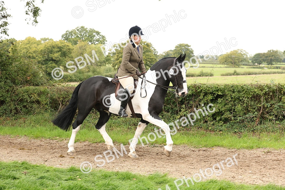 SBM_67208 - S67 - Piebald & Skewbald Horse Ridden