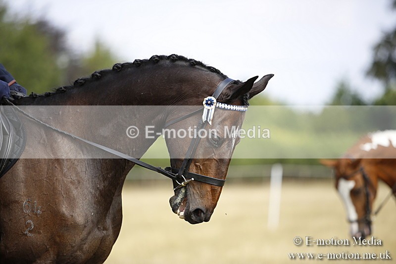 _C7A9298 - BVRC Show 2018 Ring 1