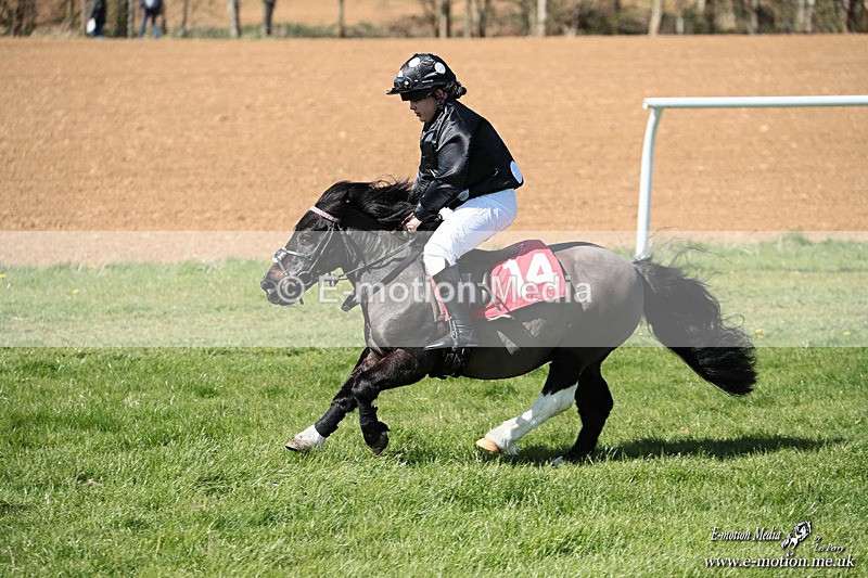 Shet 060426 332 - Shetland Pony Racing Paxford Races Easter Mon 06/04/26