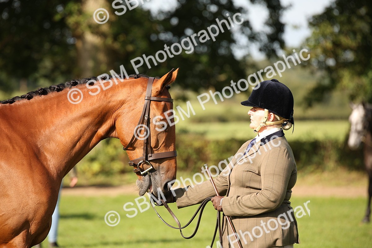 SBM_60112 - S53 - Hunter In Hand