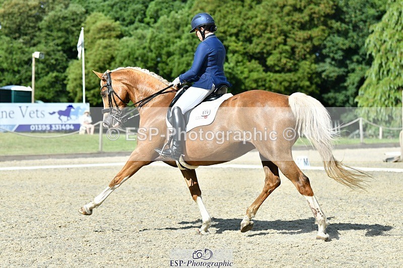 230623-165513-02929 - Cls 9 Advanced Medium 91Q