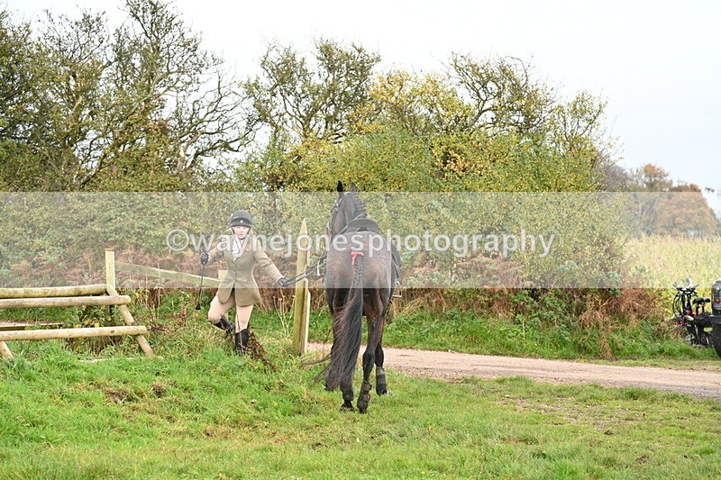 WJ7_0449 - Camera 1 & Last fence