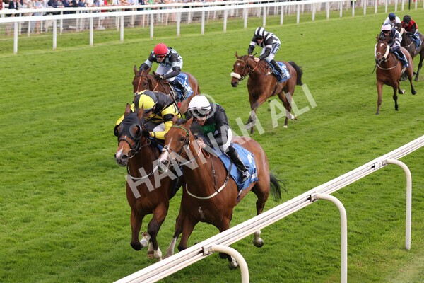 yr10062022r7-24 - Race 7 5.10pm Andy Thornton Hospitality Furniture Stakes