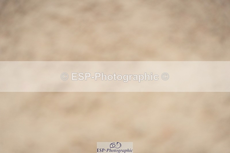 230924A-135754-06334 - 90 SJ Start to 14.00