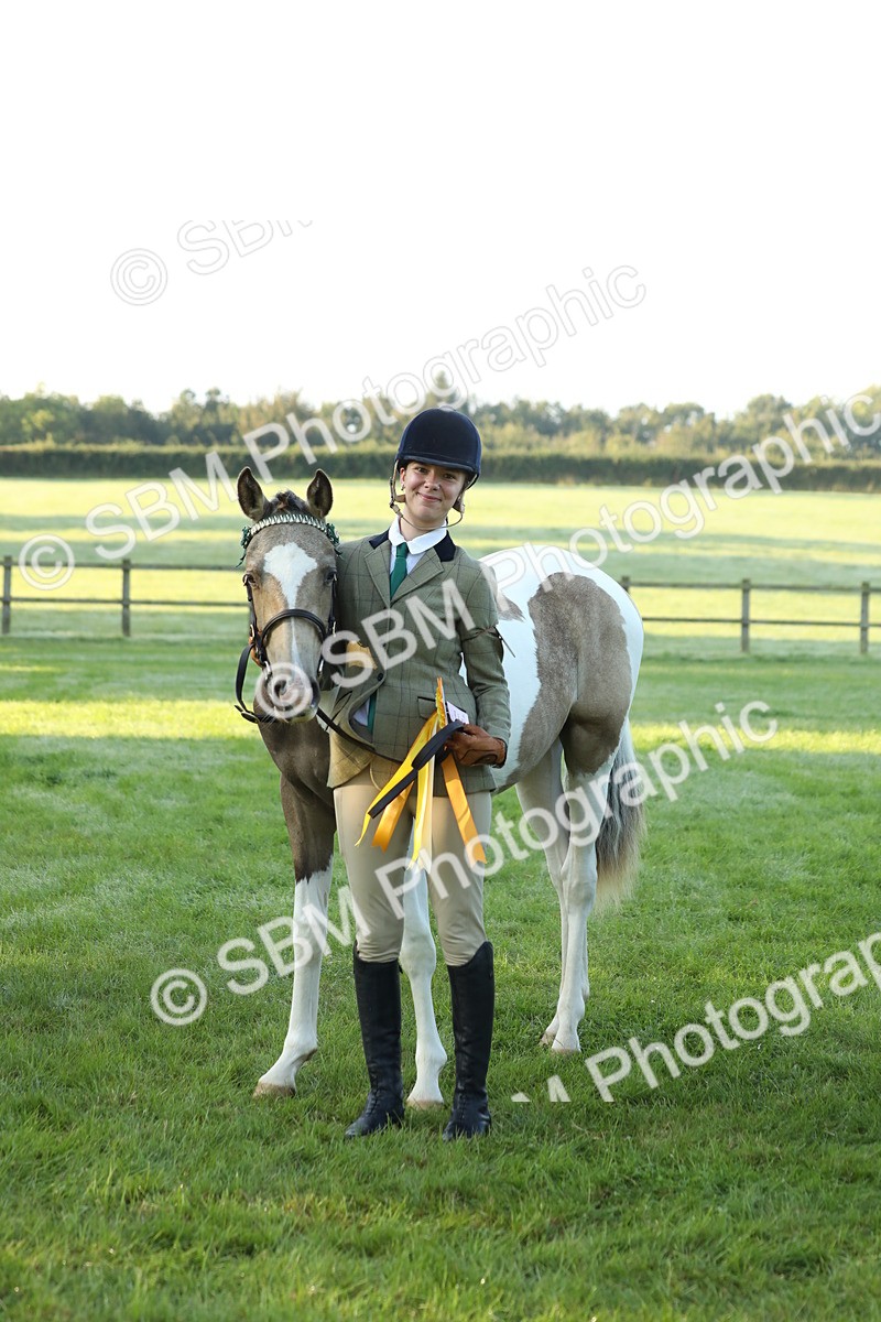 SBM_57869 - S42 - Youngstock