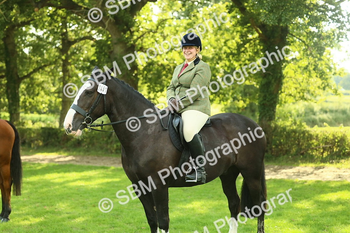 SBM_52195 - S33 - Working Hunter & Working Show Horse