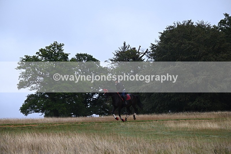 DSC_1689 - Time at Statue 12:13 to 12:32