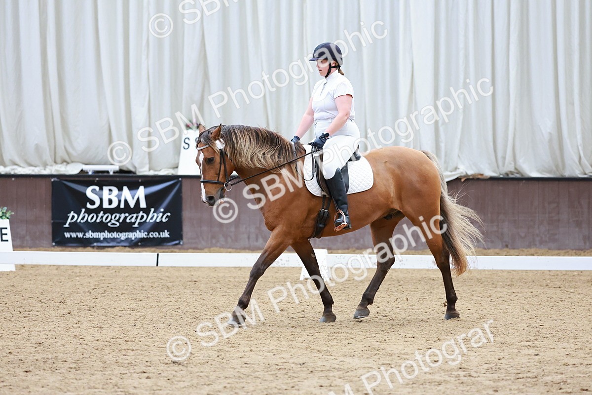 SBM_013317 - Class 1-2-3-4 - MQ Open U21 Intro 1-2