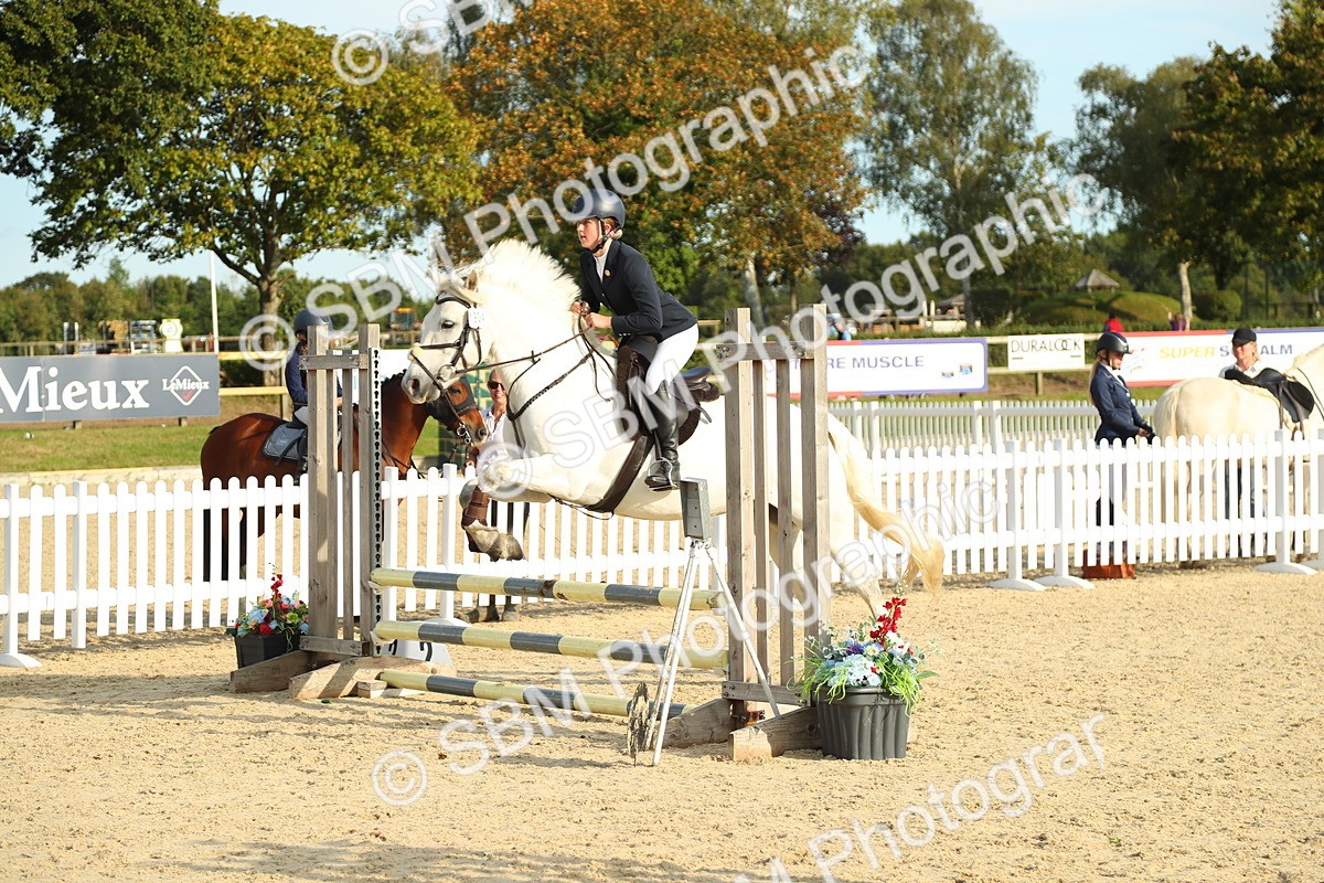 SBM_53557 - J8 - Junior Pony 65cm Championship