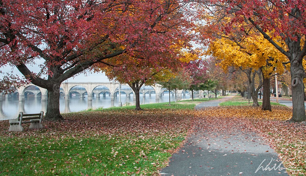 _WDB3240b - Trees