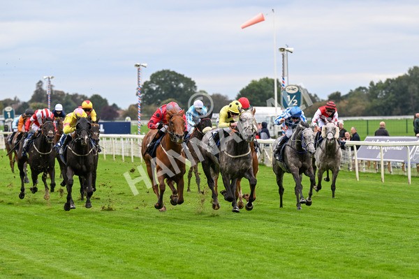 101025-Race 1-Ice Max-0037 - Race 1 William Hill Autumn Mile Handicap at York
