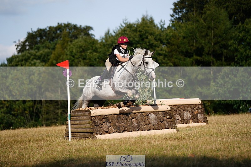 250803A-181314-18906 - R-824-Poppy.Wilkinson-DAISY.DER.BLUME