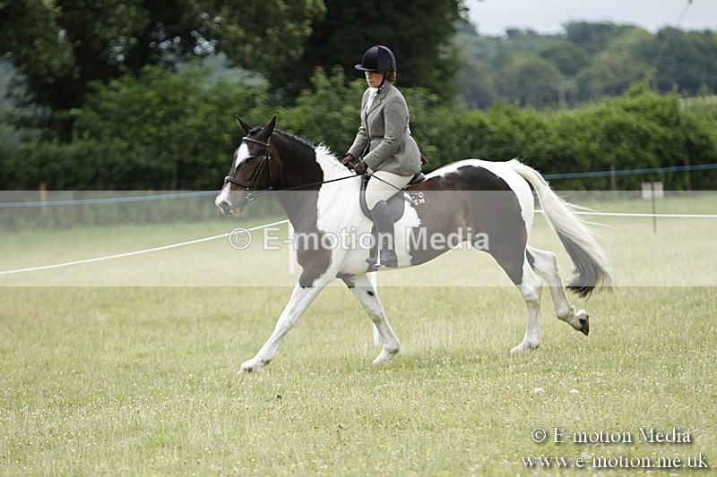 BVR160717-169 - Ring 3 BVRC Show 16/07/17