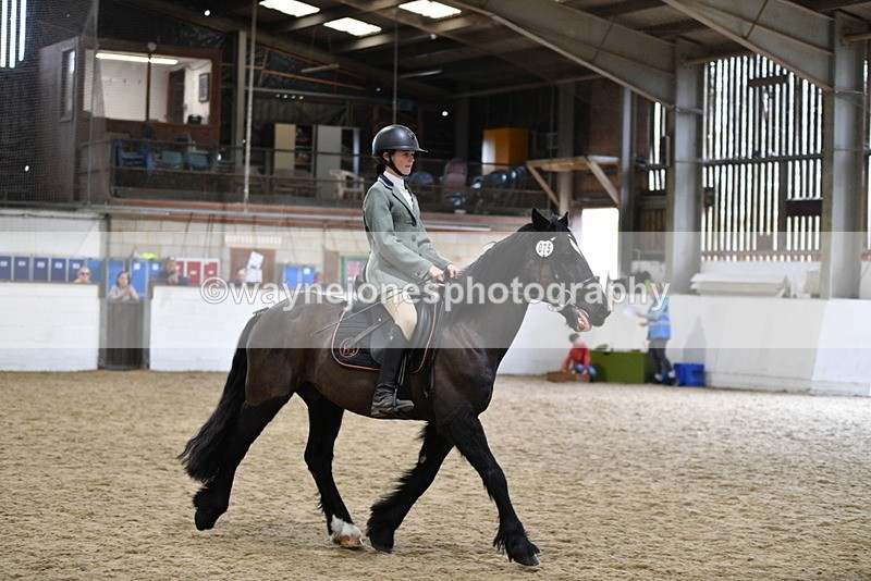 WJ5_7879 - Class 13 Ridden Part Breed