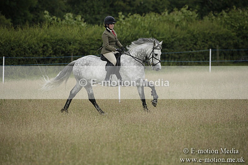 B230619-0141 - Bourne Valley Riding Club Summer Show 23/06/19