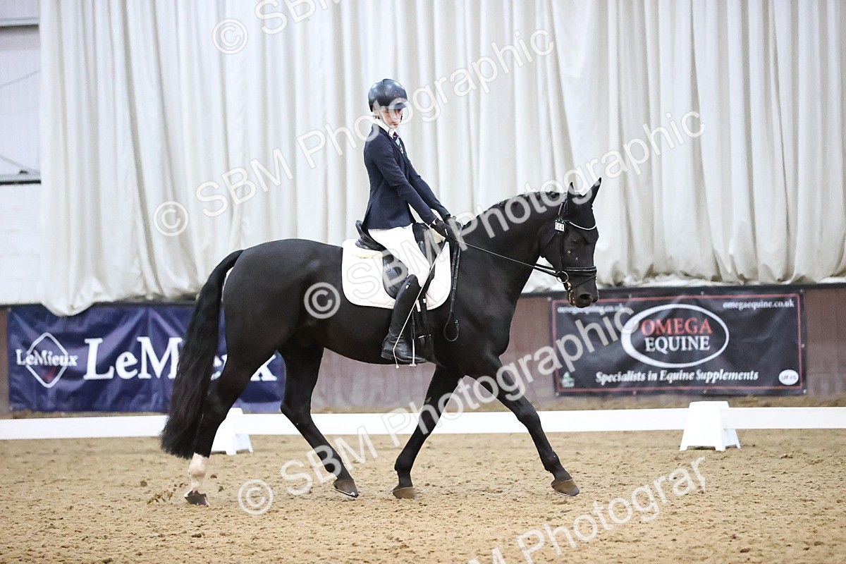 SBM_004319 - Intermediate